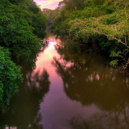 La Selva Biological Station Hotell Sarapiquí Eksteriør bilde