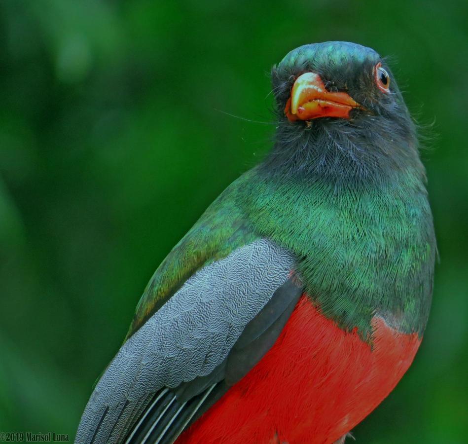 La Selva Biological Station Hotell Sarapiquí Eksteriør bilde