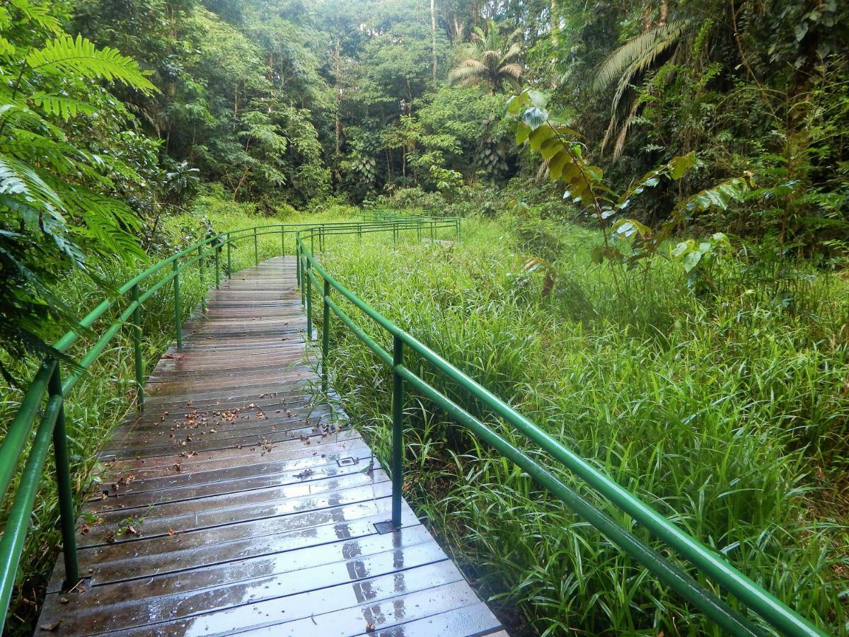 La Selva Biological Station Hotell Sarapiquí Eksteriør bilde