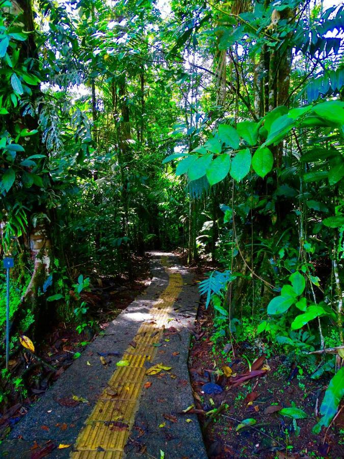 La Selva Biological Station Hotell Sarapiquí Eksteriør bilde