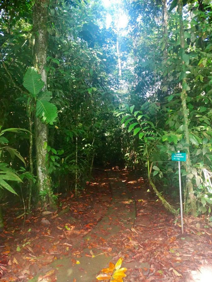 La Selva Biological Station Hotell Sarapiquí Eksteriør bilde