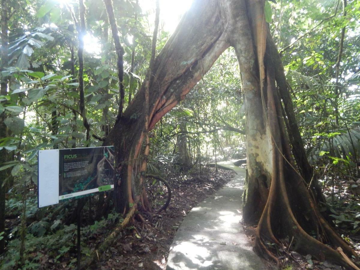 La Selva Biological Station Hotell Sarapiquí Eksteriør bilde