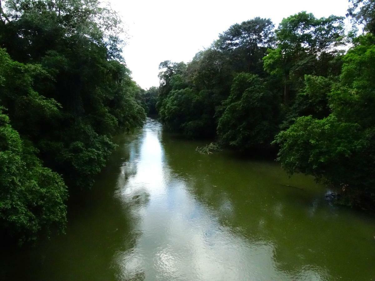 La Selva Biological Station Hotell Sarapiquí Eksteriør bilde