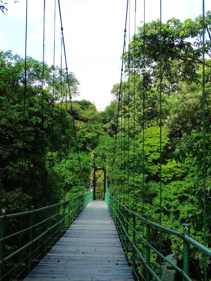 La Selva Biological Station Hotell Sarapiquí Eksteriør bilde