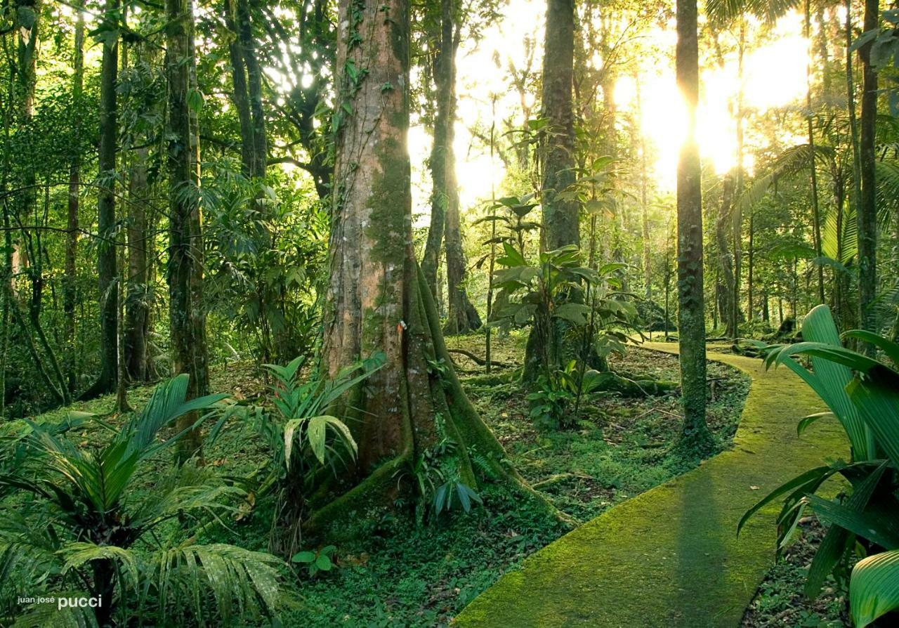 La Selva Biological Station Hotell Sarapiquí Eksteriør bilde