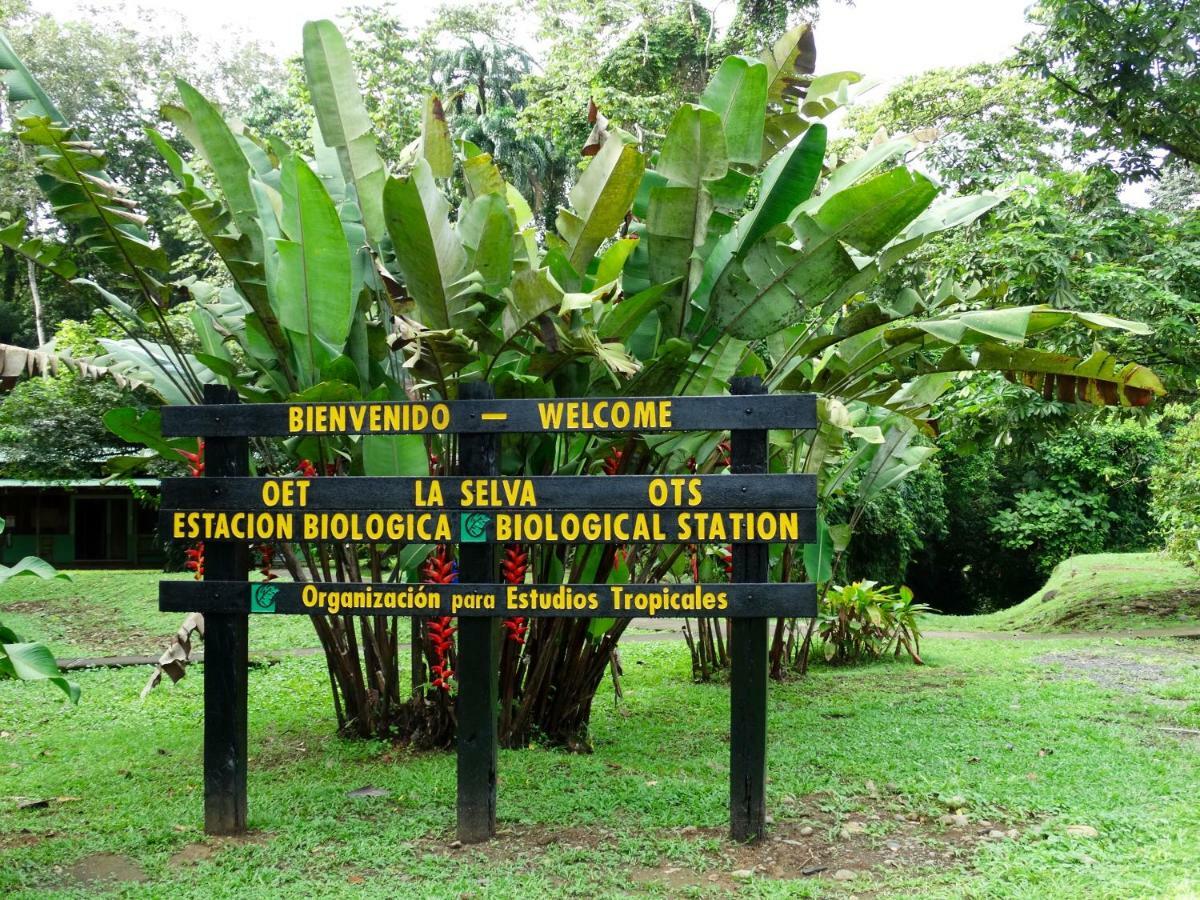 La Selva Biological Station Hotell Sarapiquí Eksteriør bilde