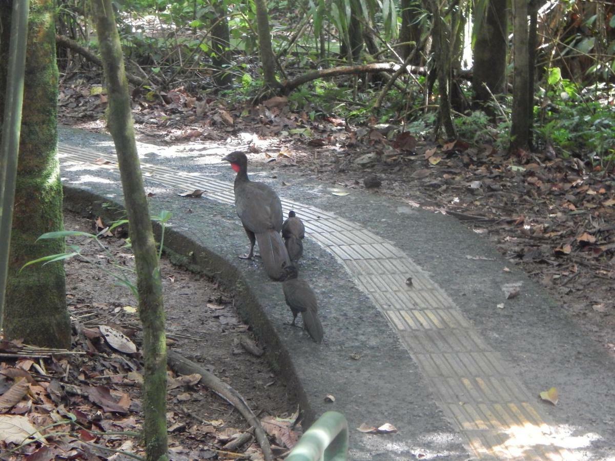 La Selva Biological Station Hotell Sarapiquí Eksteriør bilde