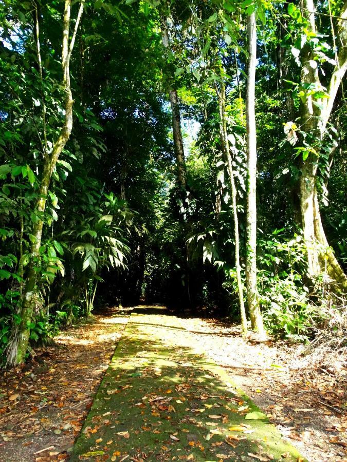 La Selva Biological Station Hotell Sarapiquí Eksteriør bilde