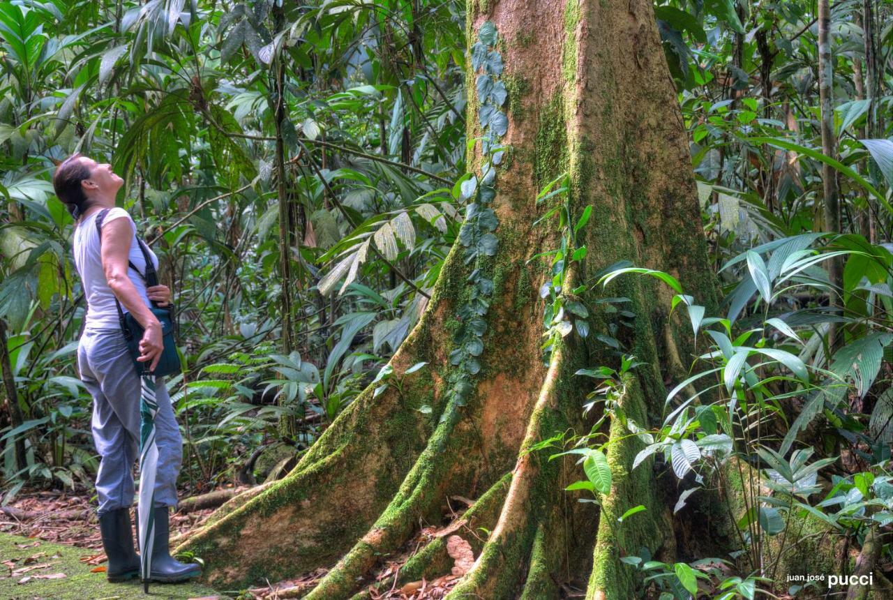 La Selva Biological Station Hotell Sarapiquí Eksteriør bilde